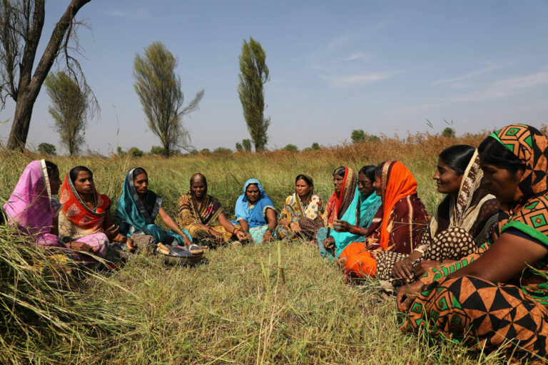 Climate Adaptation and Fragile Markets 