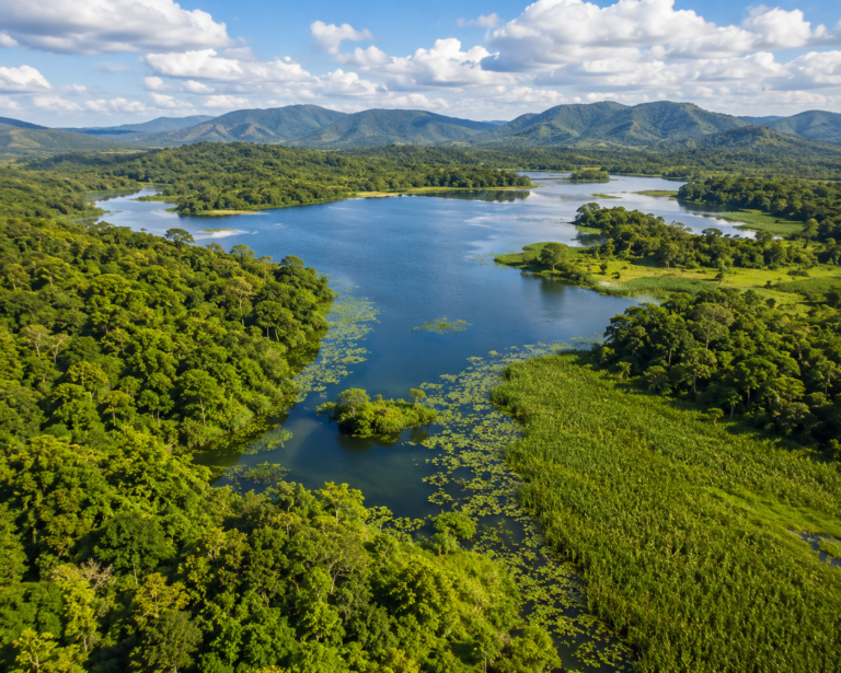 Sustainability and Climate Impact Reporting
