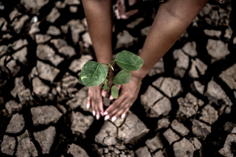 Climate Governance  