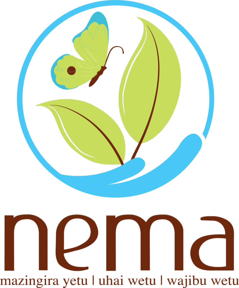 national-environment-management-authority